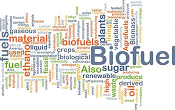 Грантова схема BG04-03-04 „Производство на горива от биомаса“