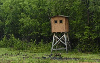 Мярка 8.3. Предотвратяване и възстановяване на щети по горите от горски пожари, природни бедствия и катастрофични събития