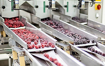 Подмярка 4.2 Инвестиции в преработка/маркетинг на селскостопански продукти