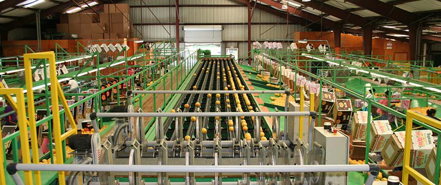 Стартира приемът мярка 4.2 „Инвестиции в преработка/маркетинг на селскостопански продукти” от ПРСР 2014-2020.