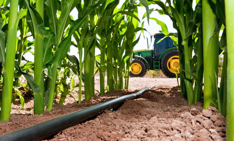 Проверка на точките от предварителния ранкинг по подмярка 4.1 – вече възможна.